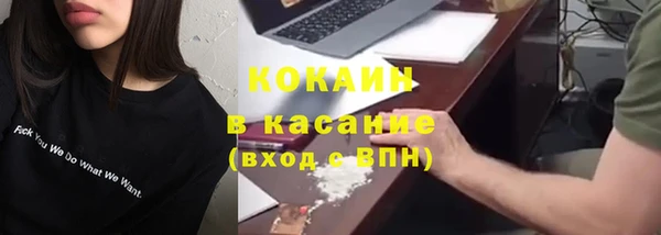 тгк Алзамай