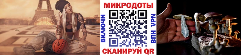 цены   Куса  blacksprut рабочий сайт  Галлюциногенные грибы GOLDEN TEACHER 